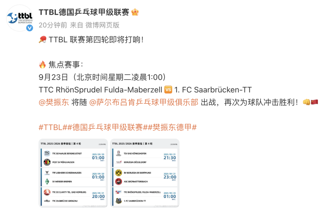 樊振东所在