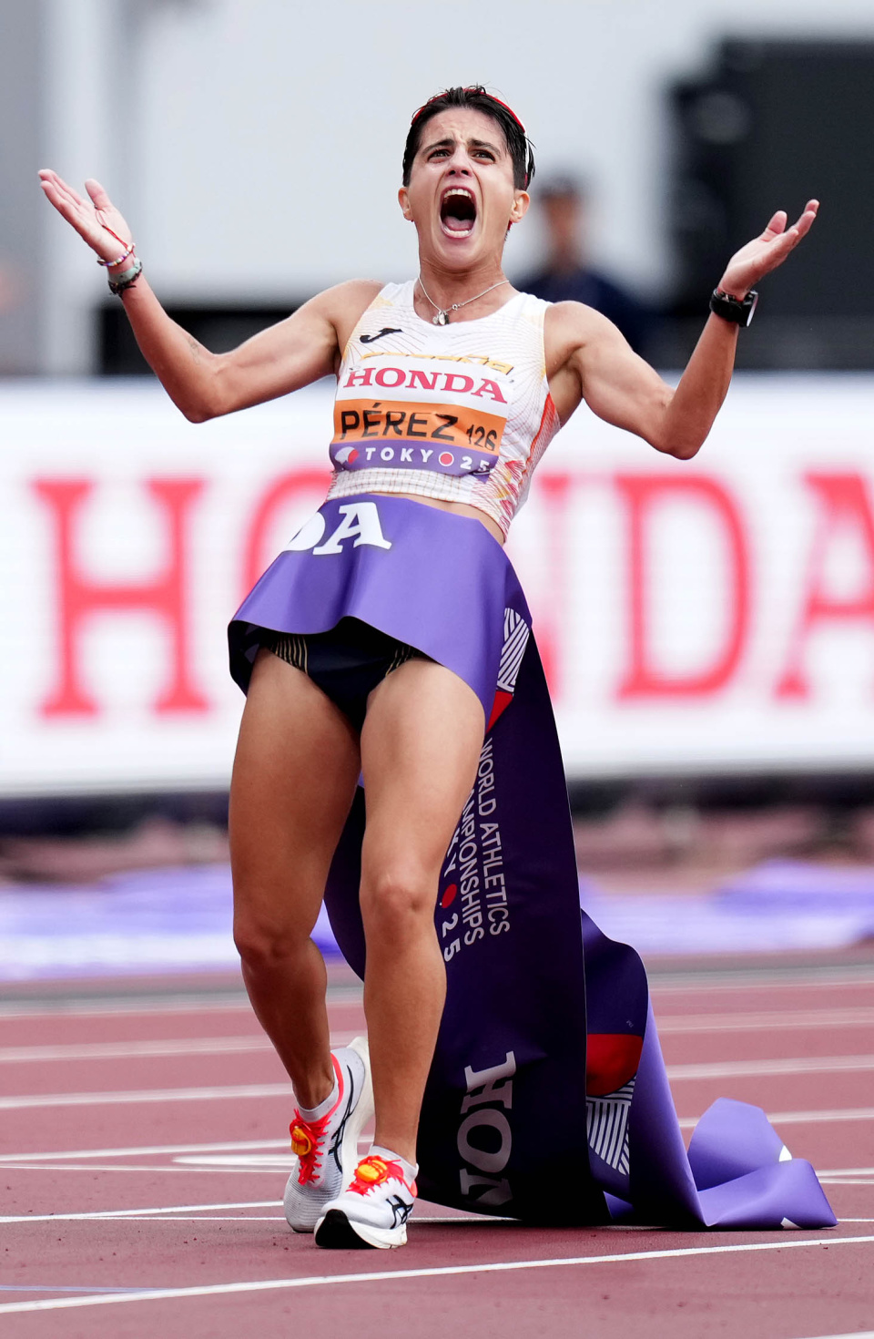 nXpSE, om, BvE nXpSE, om, BvE